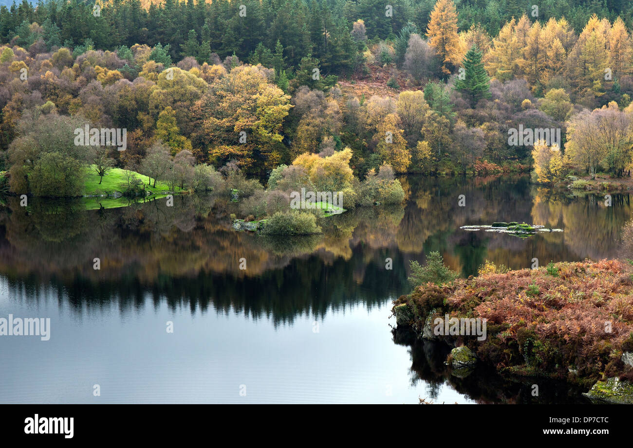 Fotografia di Llyn Elsi in autunno e il bosco circostante nel Parco Nazionale di Snowdonia Gwynedd Galles del Nord Regno Unito Europa Foto Stock