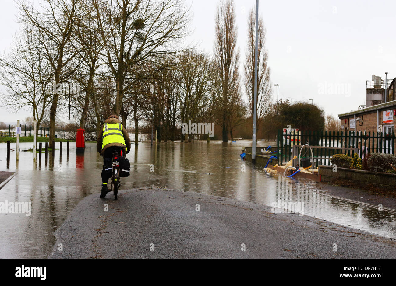Uomo in bici, in Langport, Sud Ovest Inghilterra, chiedendo come egli sta andando ottenere qualsiasi ulteriore a causa delle inondazioni davanti a lui. Foto Stock