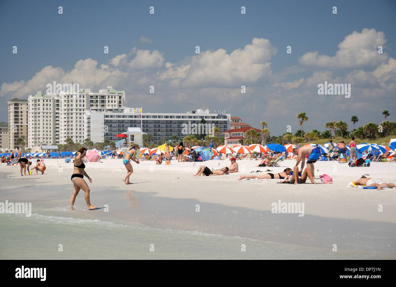 Lucertole da mare e gli hotel a Clearwater Beach, Florida Foto Stock