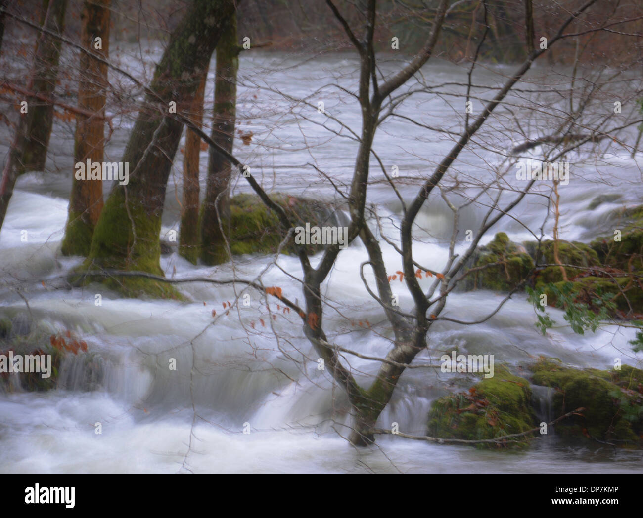 Cascate e fiumi nel distretto del lago in Inghilterra, fiumi scorresse dopo forti piogge pesanti. Foto Stock