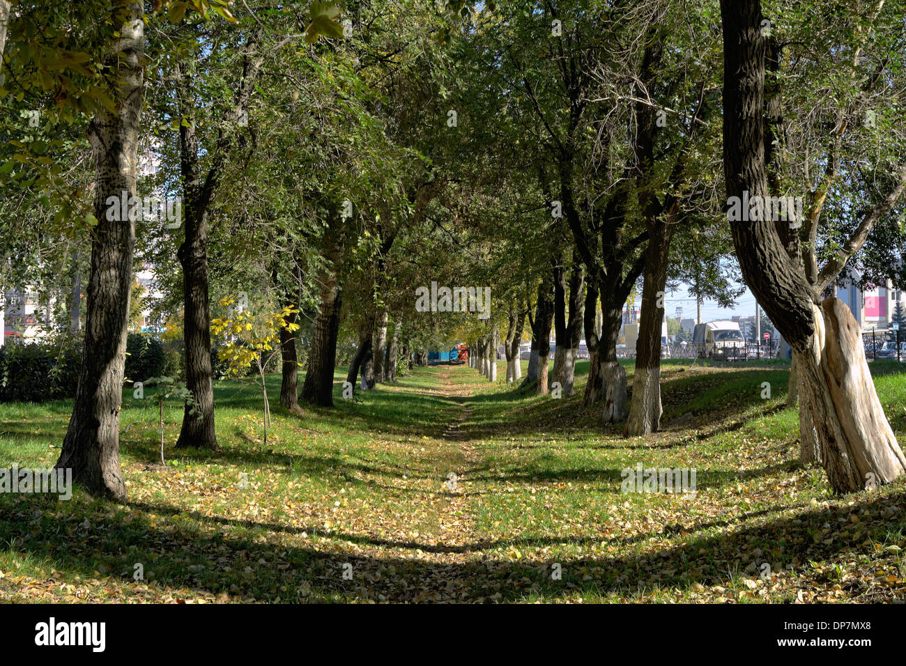 Paesaggio, natura, parco, albero, città, stagione, verde foglia, giorno, percorso, scena, estate, vicolo, sfondo, colore fogliame, giardino, g Foto Stock