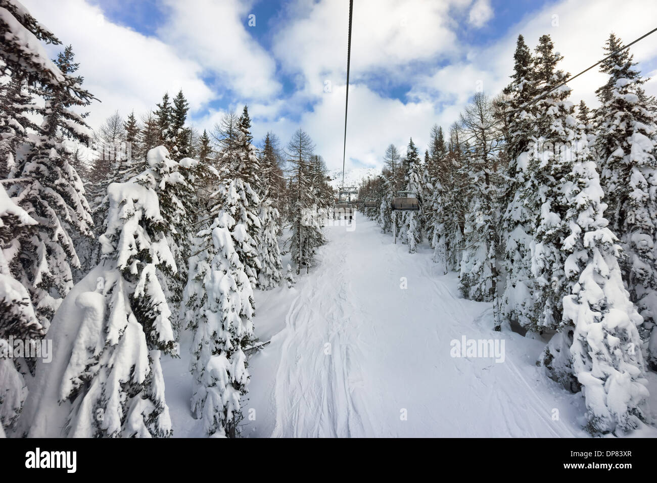 Pista da sci nella foresta, su strade coperte di neve alpi italiane Foto Stock