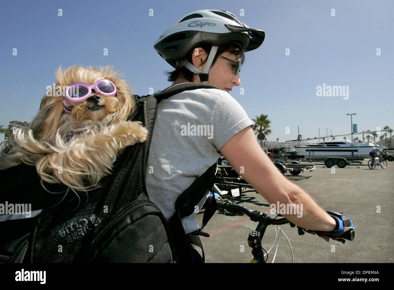 (Pubblicato il 9/22/2006, NC-1, NI-1) 20 settembre 2006, Oceanside, California_Oceanside resident ANN WATTS ha il suo piccolo cane di nome Shanti, che indossa gli occhiali da sole, nel suo zaino come lei prende un giro in bicicletta lungo l'acqua alla Oceanside Harbor. Il cane è un Yorki/Shih tzu mix e sembra essere godendosi_foto di Charlie Neuman/San Diego Union-Tribune/Zuma premere. copyright 200 Foto Stock
