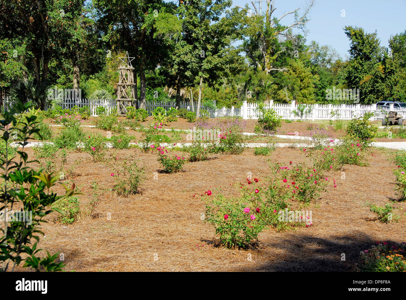 Giardino di Rose a Beauvoir, il Jefferson Davis Home e biblioteca presidenziale in Biloxi Mississippi Foto Stock