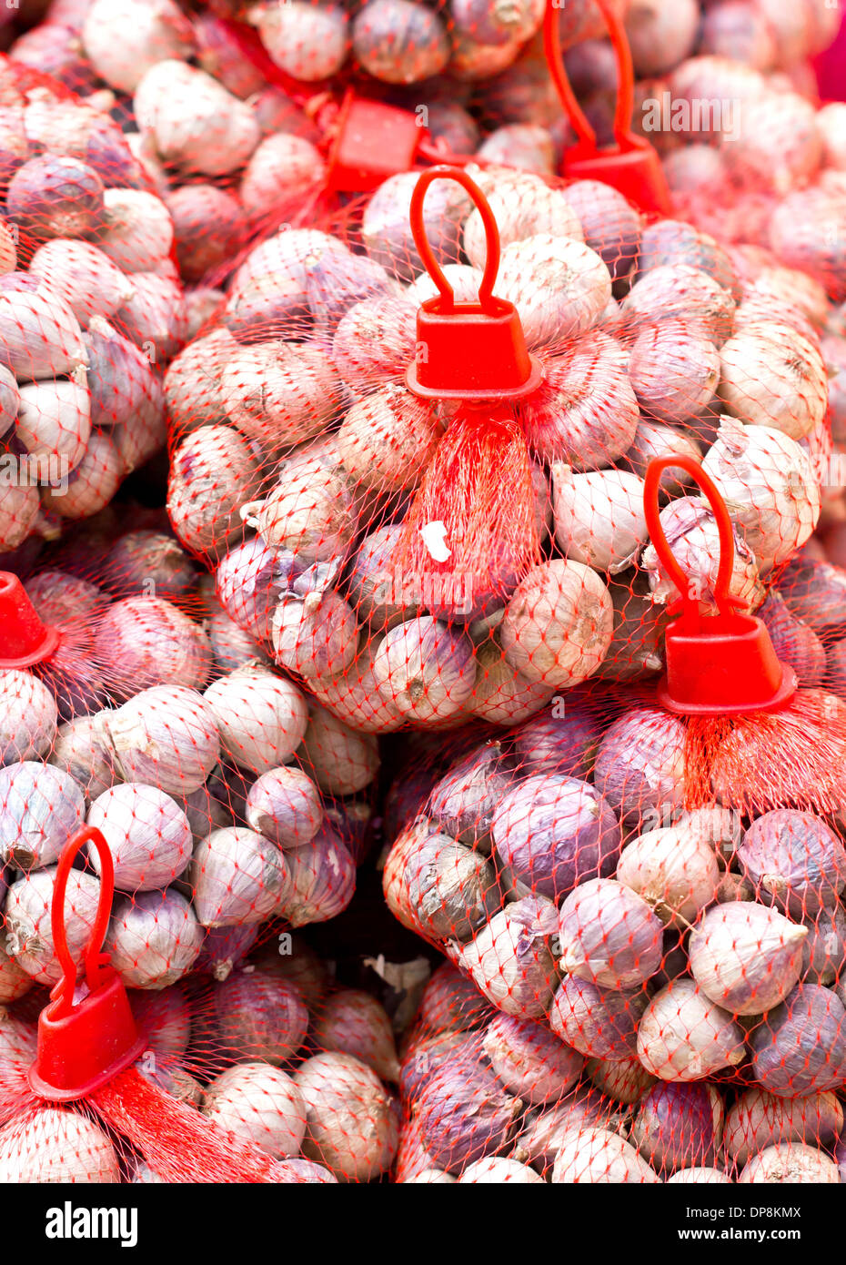 Molti cipolla rossa con red net nel marketplace. Foto Stock