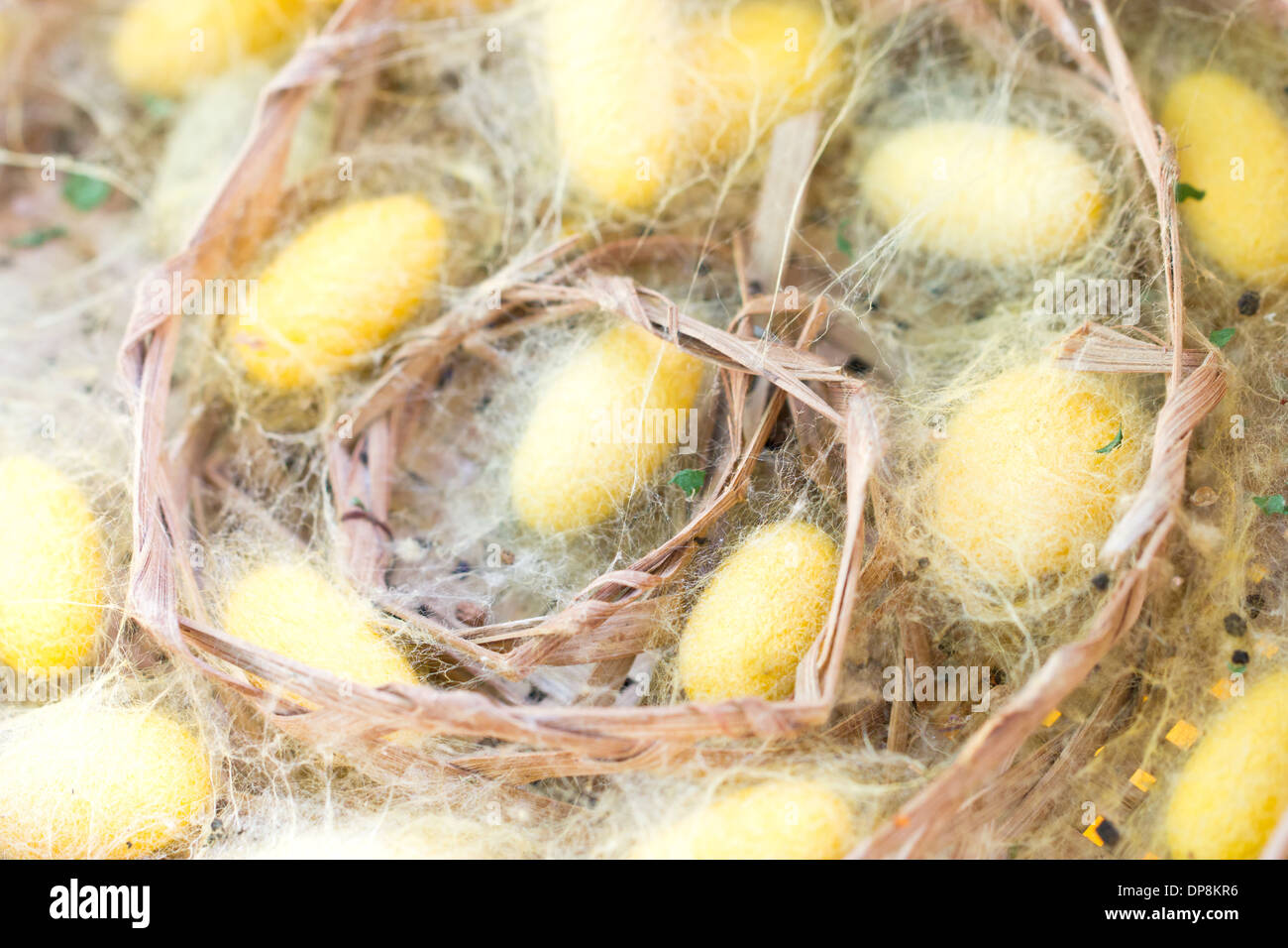 Close up di bachi da seta nido nel cestello di bambù. Foto Stock