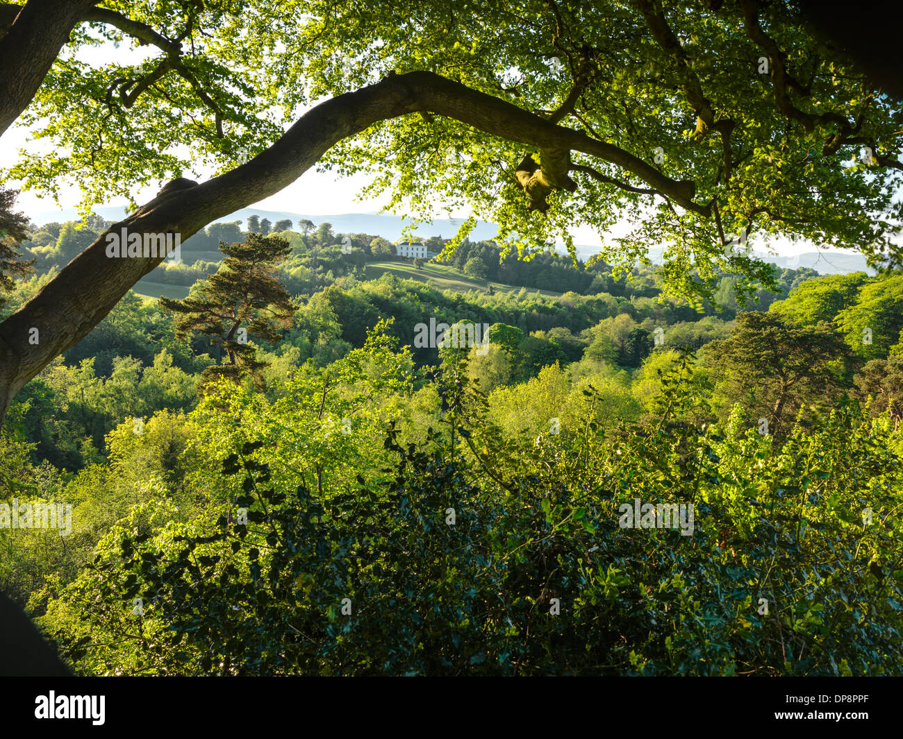 Lagan Valley Belfast Foto Stock