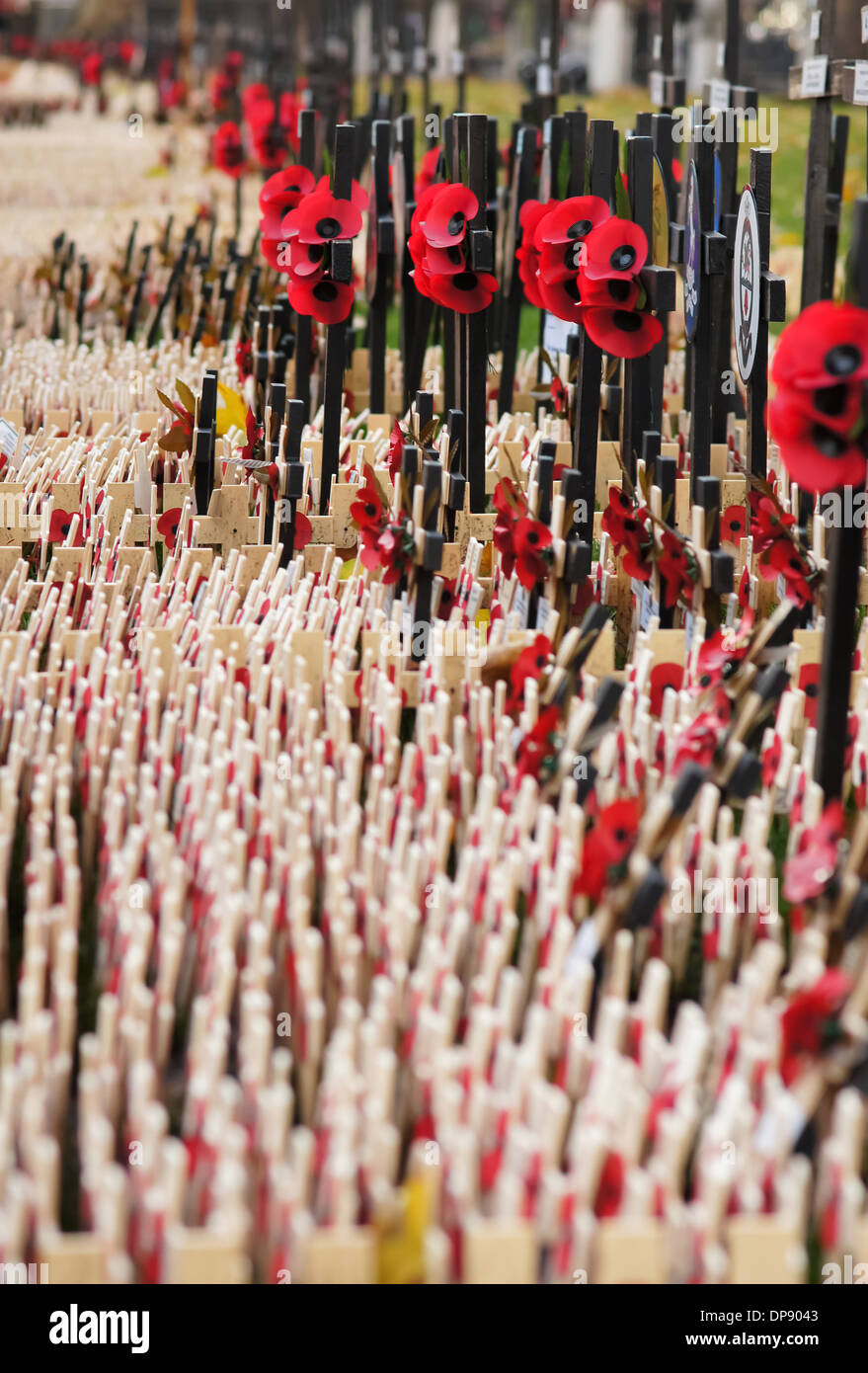 Croci poste sull'erba al di fuori dell Abbazia di Westminster in onore di coloro che sono morti in guerra, Londra Inghilterra Regno Unito Regno Unito Foto Stock