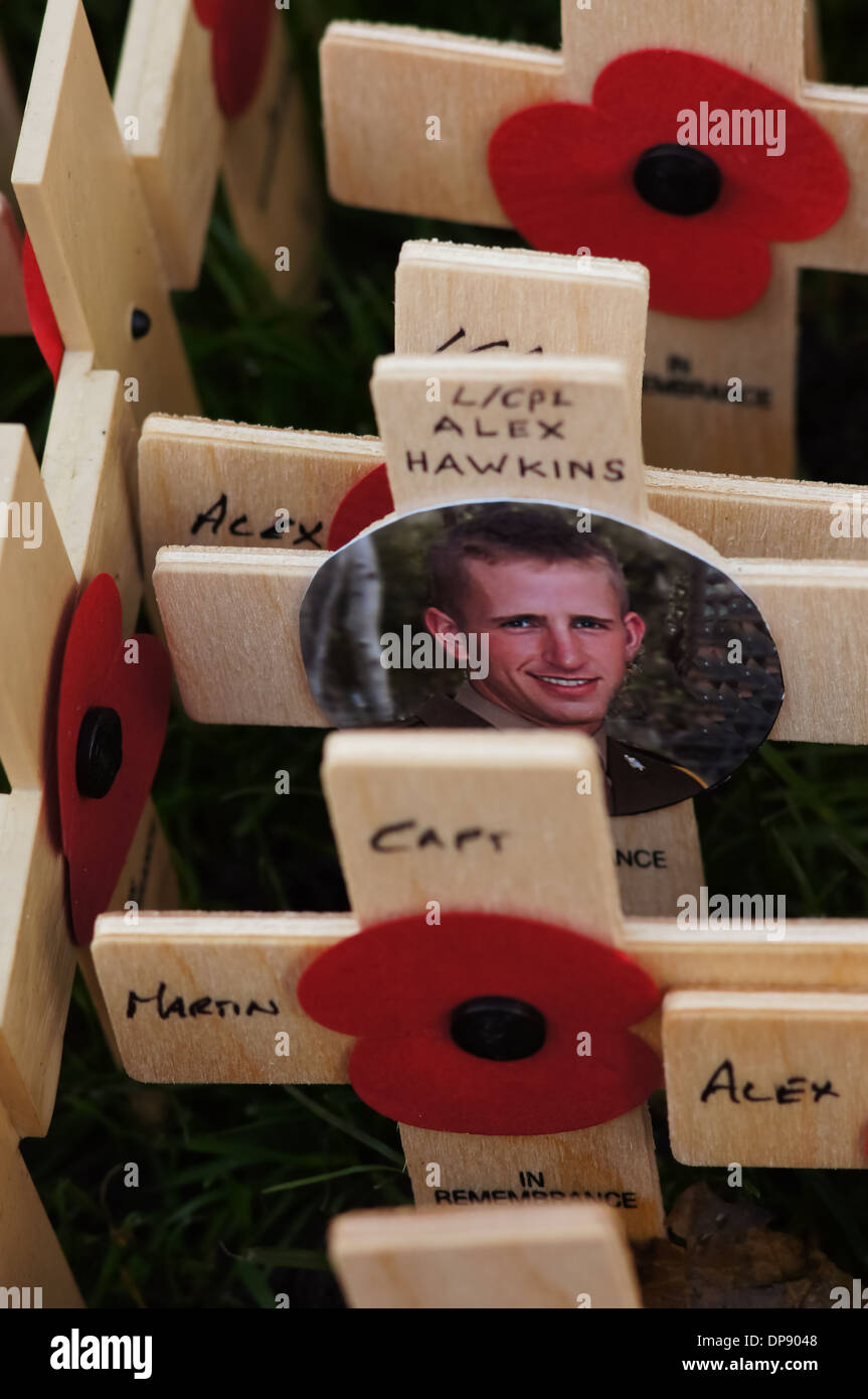 Croci poste sull'erba al di fuori dell Abbazia di Westminster in onore di coloro che sono morti in guerra, Londra Inghilterra Regno Unito Regno Unito Foto Stock