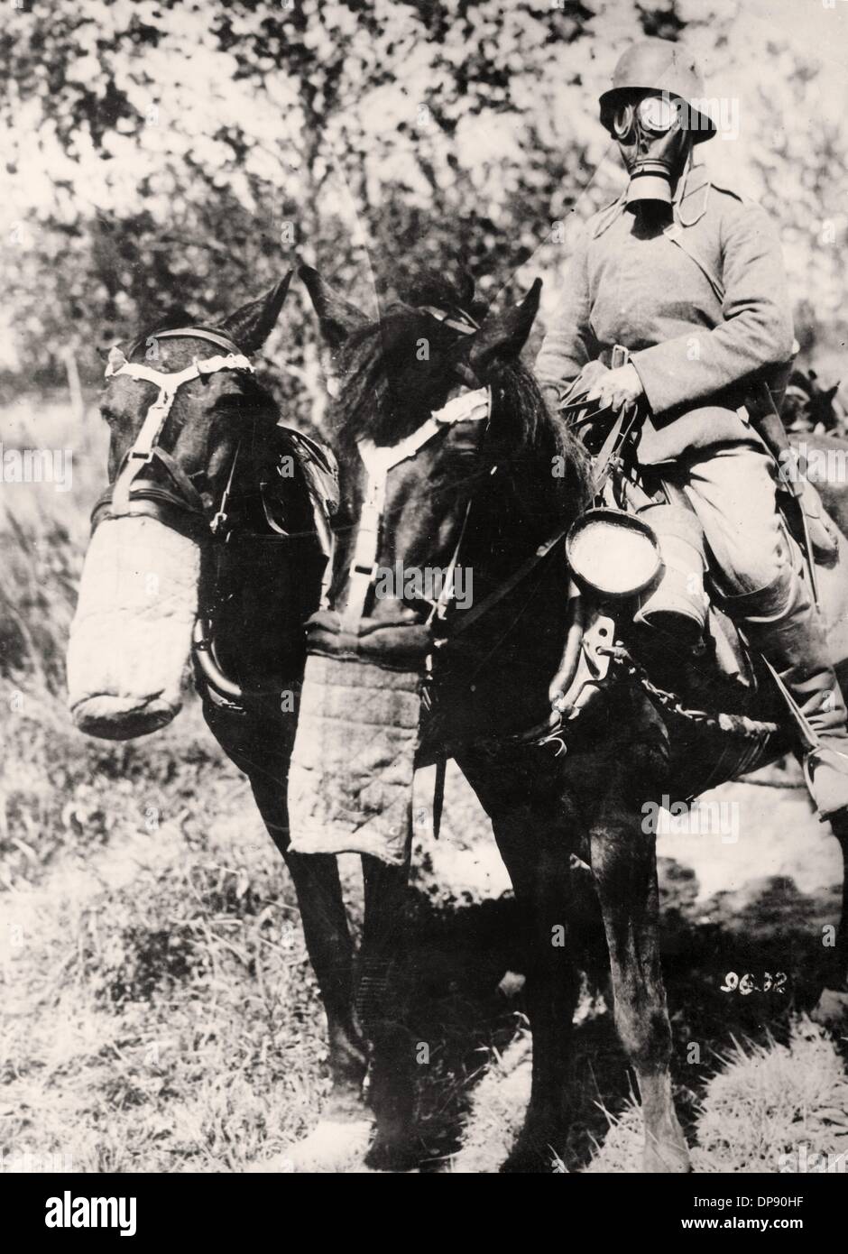 I soldati tedeschi di una colonna di munizioni passano attraverso boschi contaminati da gas - uomini e animali sono protetti da maschere a gas. Fotoarchiv für Zeitgeschichte Foto Stock