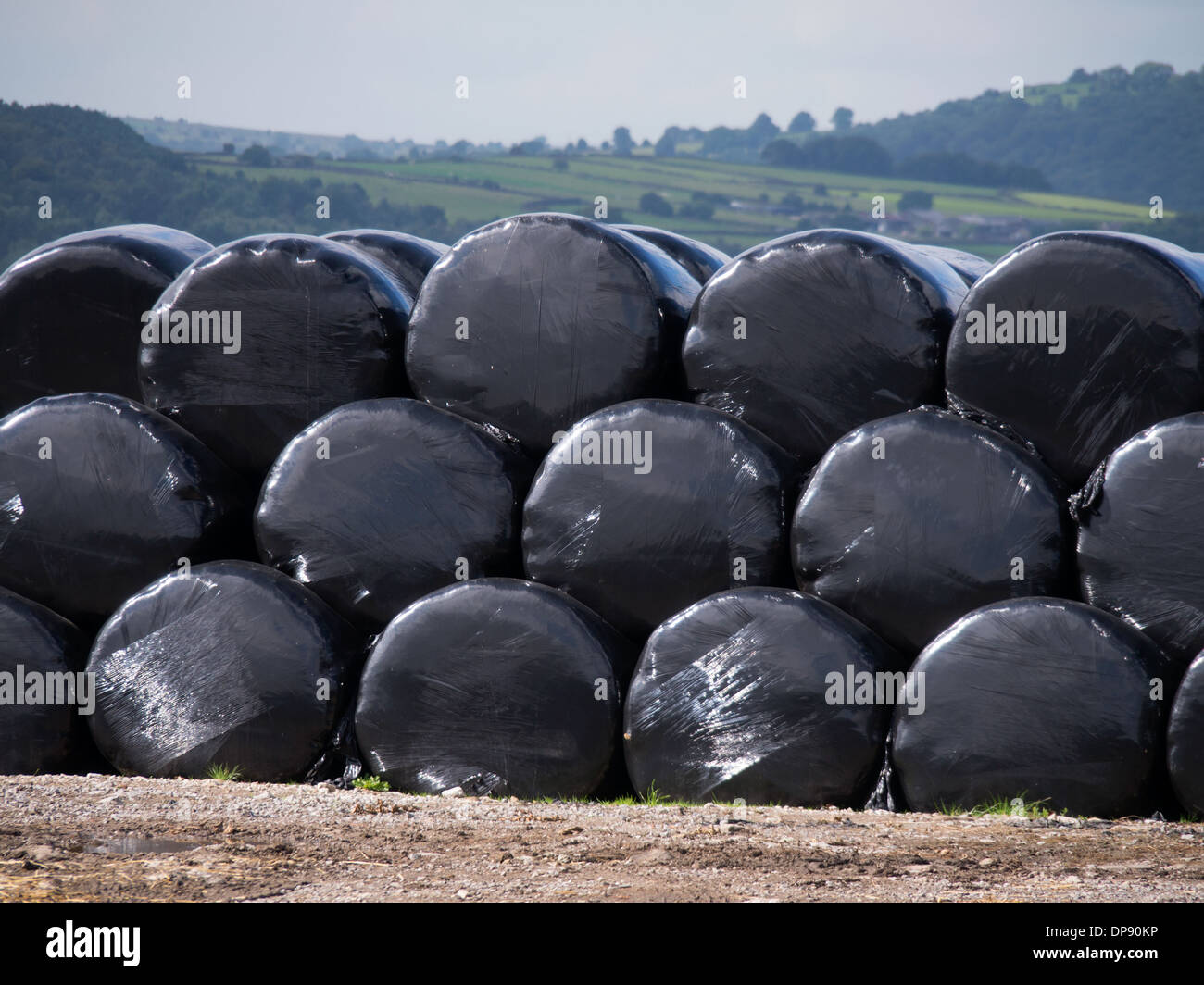 Rivestito in plastica nera di balle di fieno, Derbyshire, Regno Unito Foto Stock