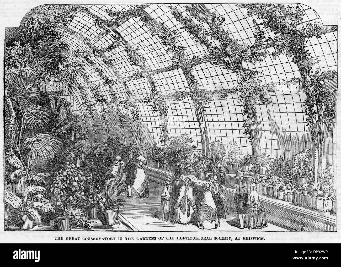 Orticultural Society Conservatory, Chiswick, Londra 1850 Foto Stock