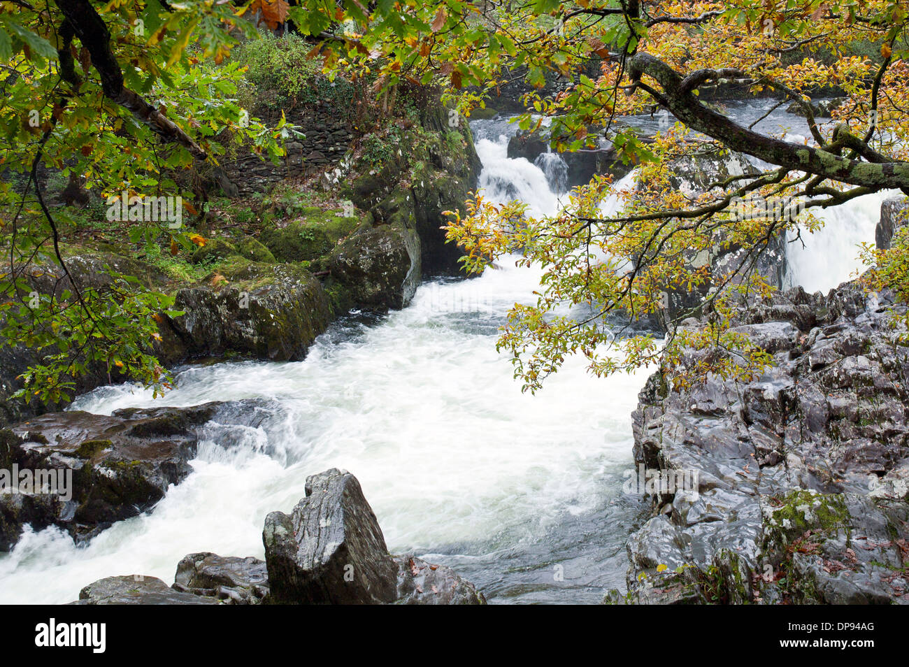 Fotografia nel fiume ondata con cascata su Afon Llugwy a Betws-y-coed in autunno il Parco Nazionale Snowdonia Gwynedd Galles del Nord Onu Foto Stock