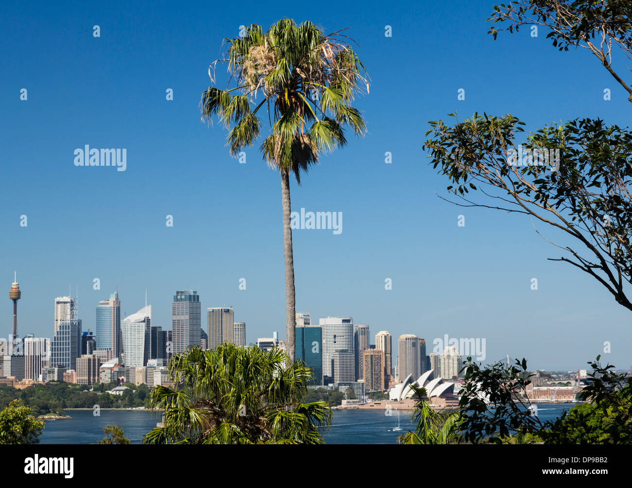 Skyline cittadino di Sydney e porto dal Taronga Zoo, Australia Foto Stock