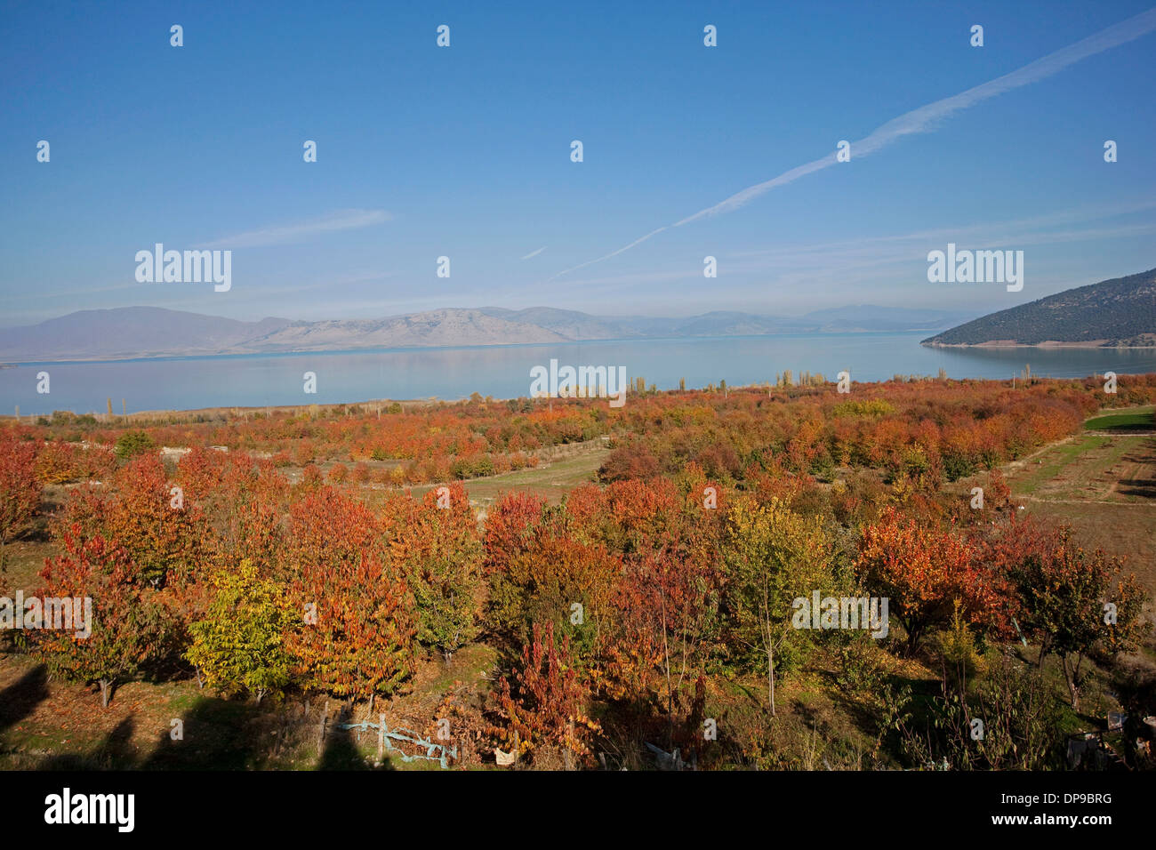 I colori dell'autunno nel lago Beyşehir Konya Turchia Foto Stock