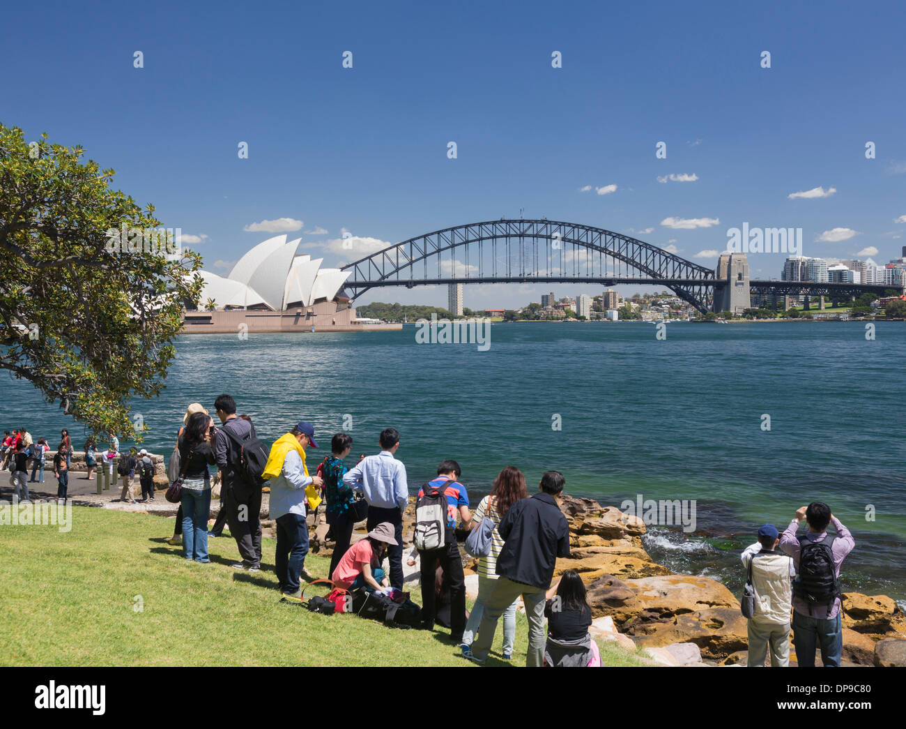 Vista turisti Sydney Harbour Bridge e Opera House dal Royal Botanic Gardens, Sydney, Australia Foto Stock