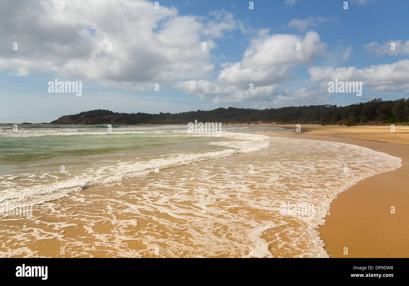 Escavatrice spiaggia sul Pacifico del Sud Costa vicino a Coffs Harbour nel Nuovo Galles del Sud, Australia Foto Stock