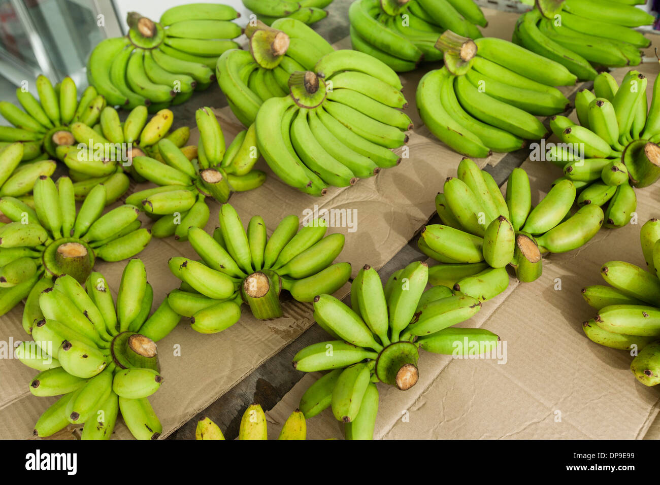 Banane verdi per la vendita al mercato della frutta Koh Pha Ngan Thailandia Foto Stock