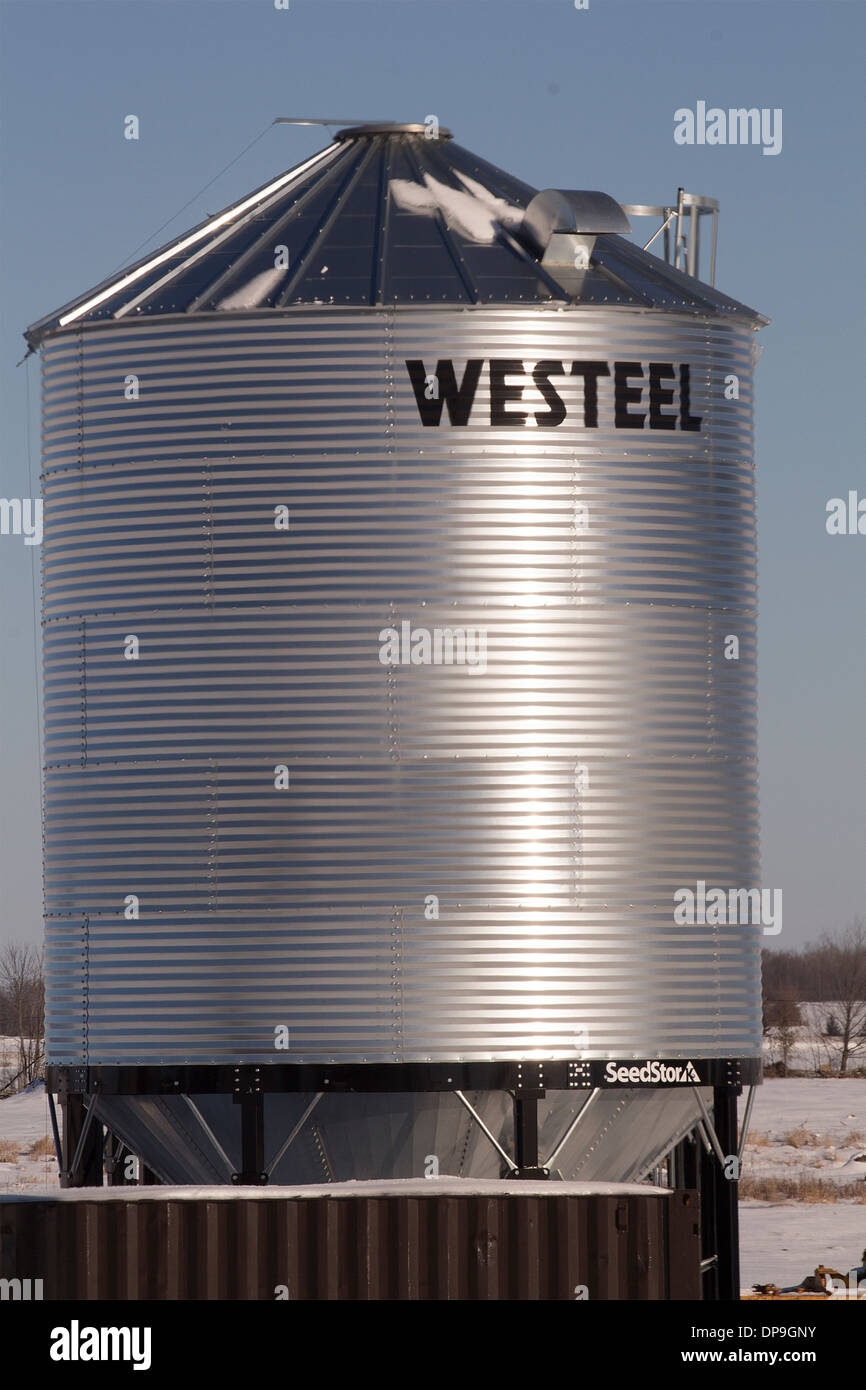 Seme Westeel Stor tramoggia granella Foto Stock