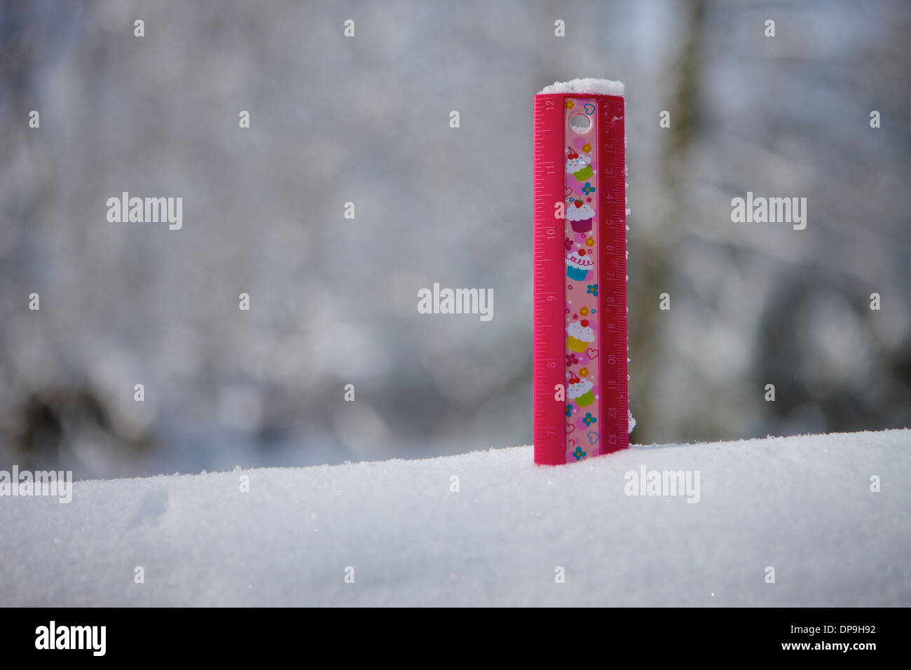 Un righello mostra quanta neve cadde durante una tempesta di neve Foto Stock