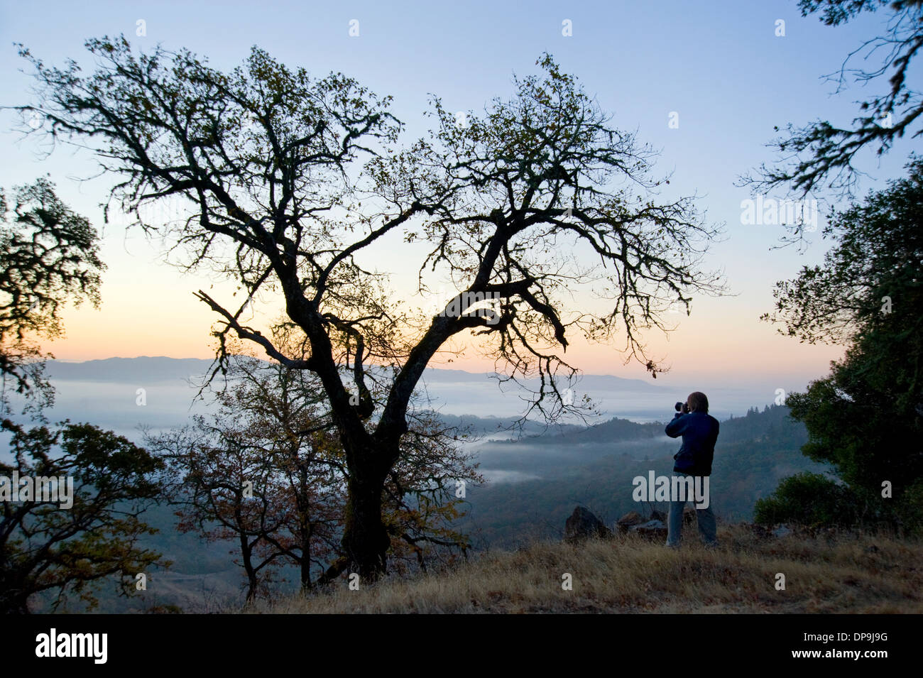 L'uomo scattare fotografie all'alba nelle colline sopra Mendocino, in California Foto Stock