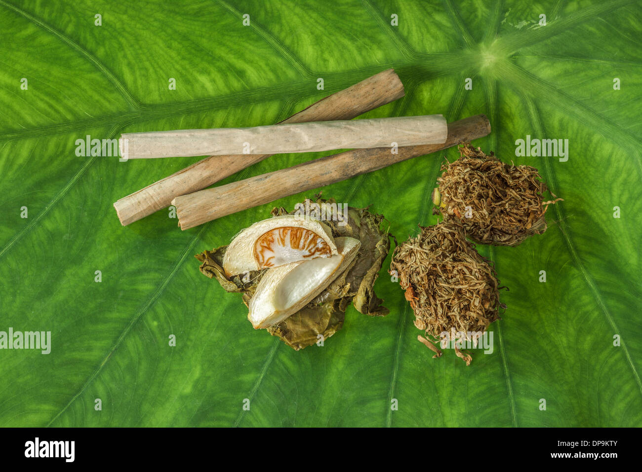 Le foglie di tabacco sono state essiccate, tagliato in strisce di piccole dimensioni chiamati tabacco linea,con Betel palm frutta su foglia verde. Foto Stock
