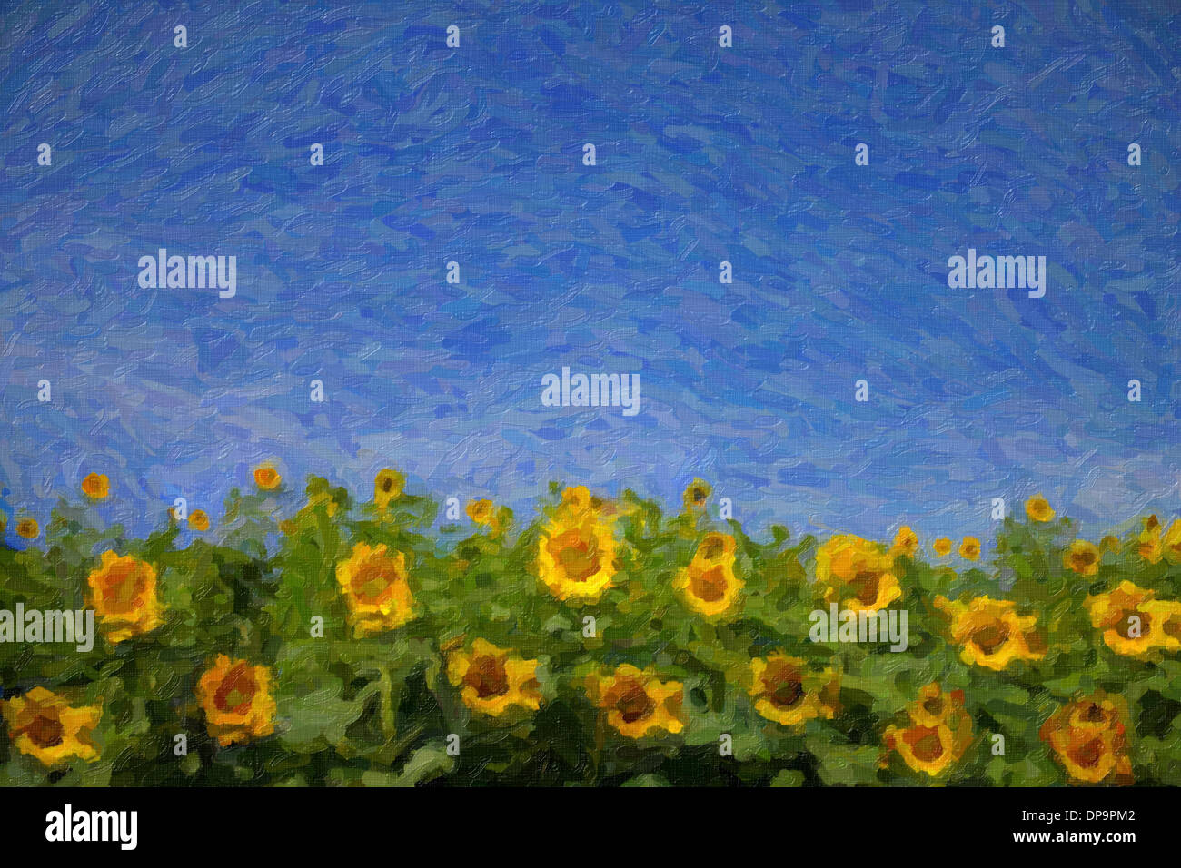 Digital dipinto a olio di girasole Foto Stock