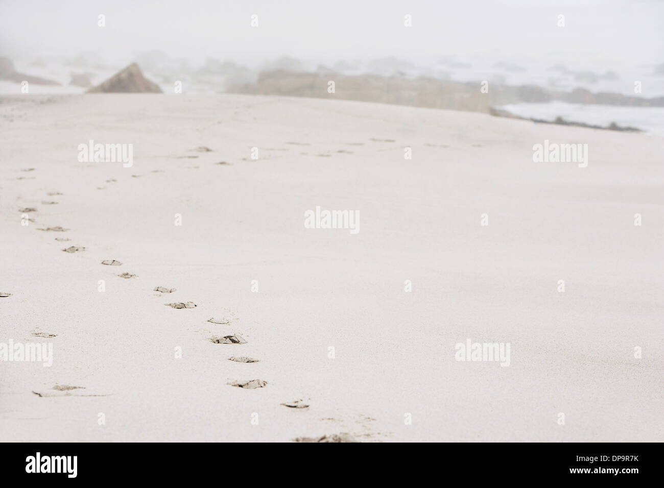 Impronte sulla sabbia in spiaggia Foto Stock