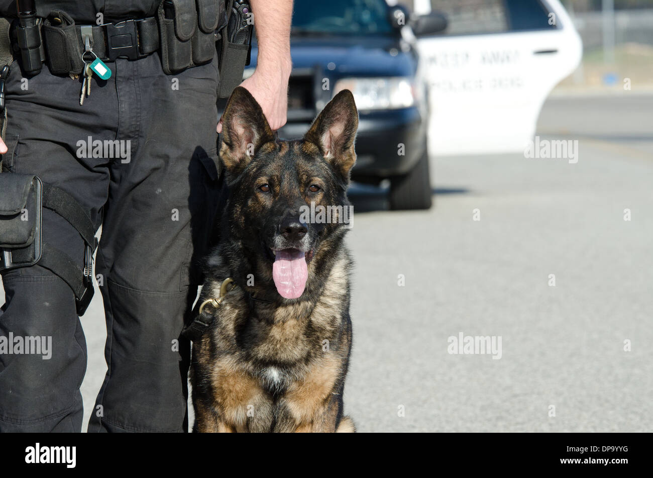 Un K9 funzionario di polizia con il suo cane. Foto Stock