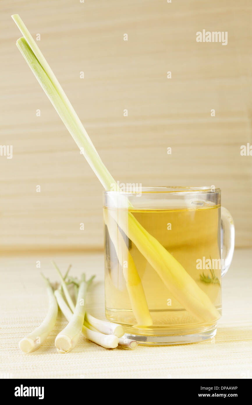 Tè citronella Foto Stock