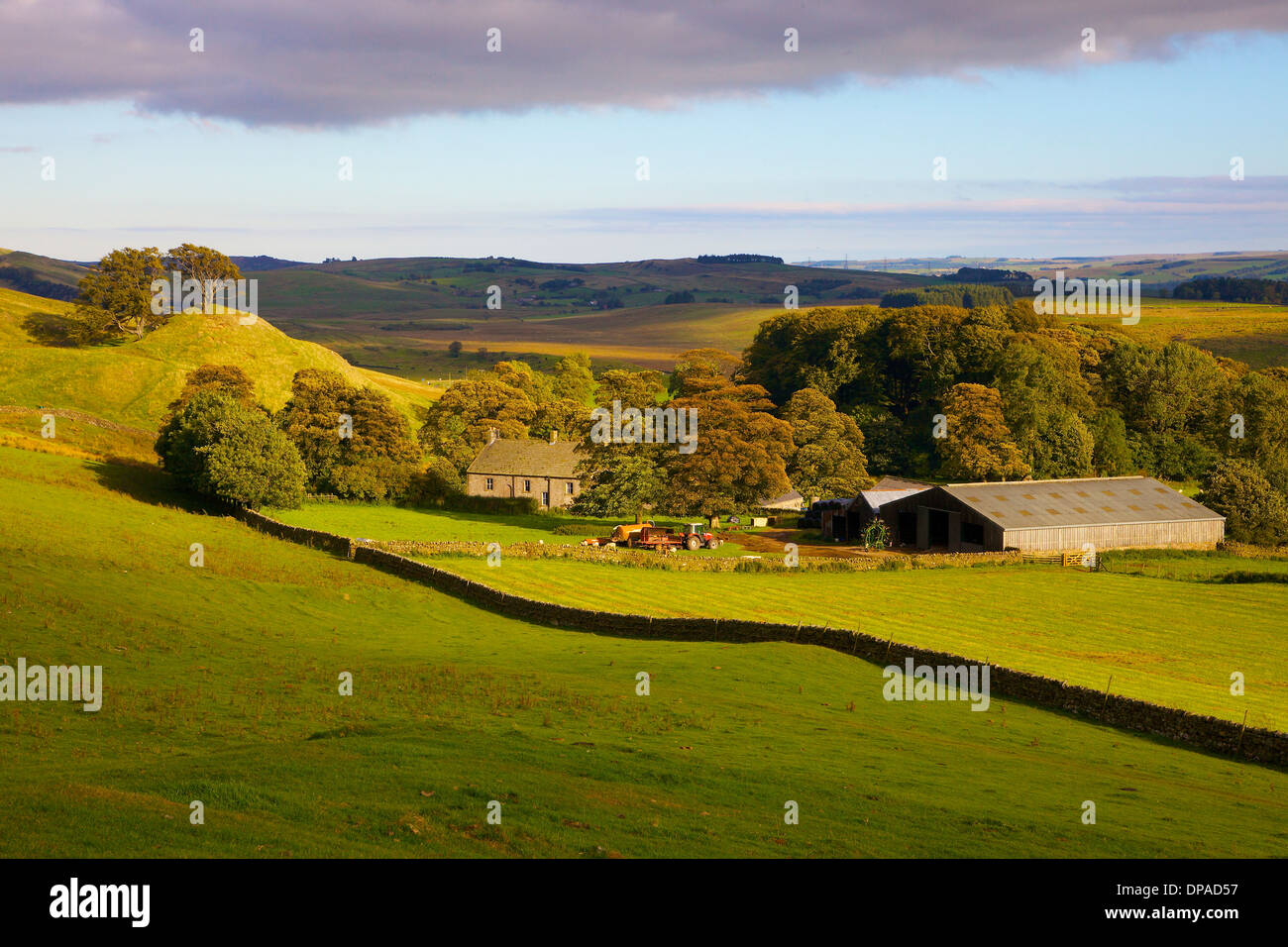 Walltown agriturismo vicino a Vallo di Adriano National Trail, Northumberland England Regno Unito Gran Bretagna Foto Stock