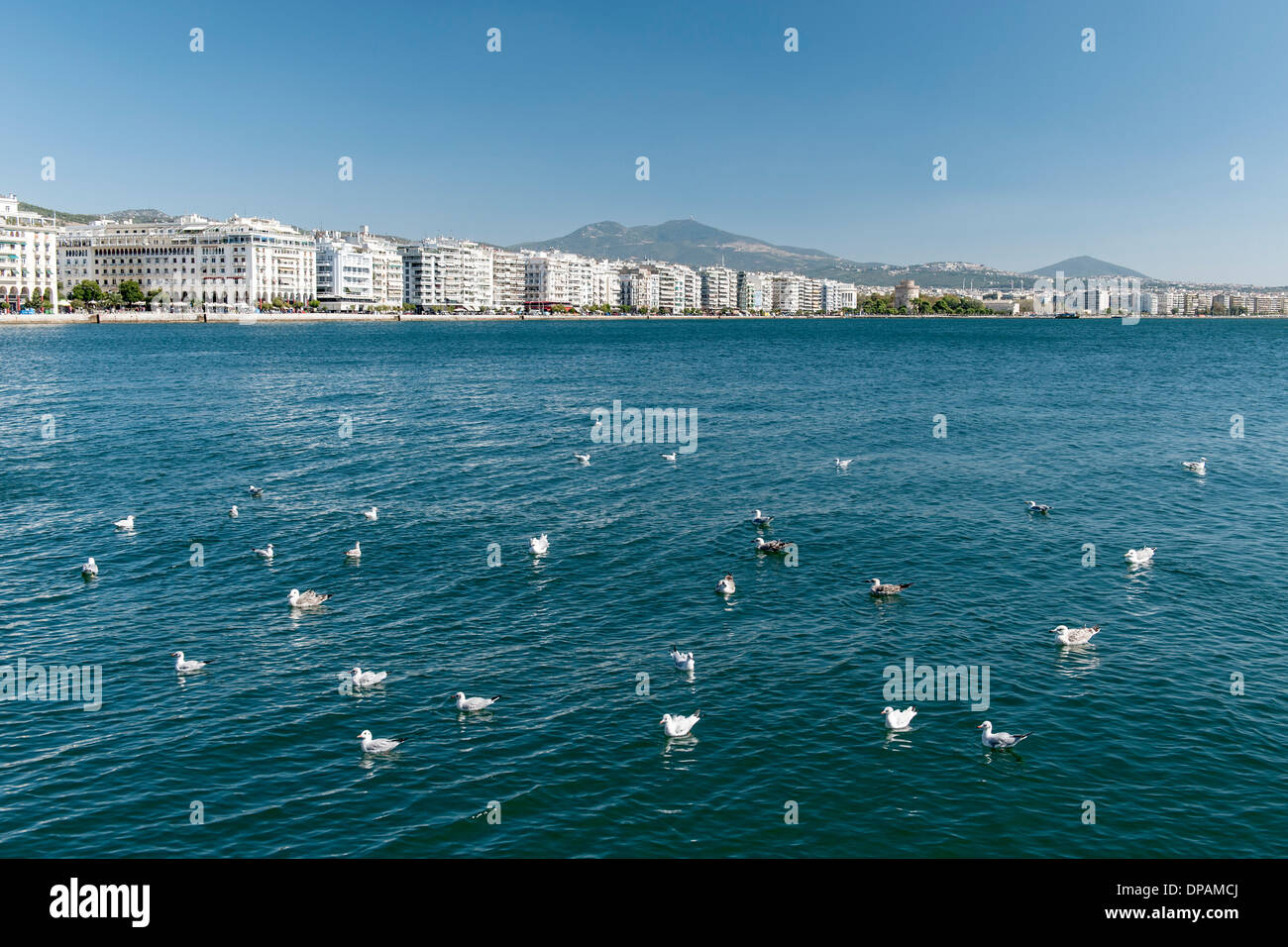 Il lungomare e gli edifici su Nikis Avenue a Salonicco, Grecia. Foto Stock