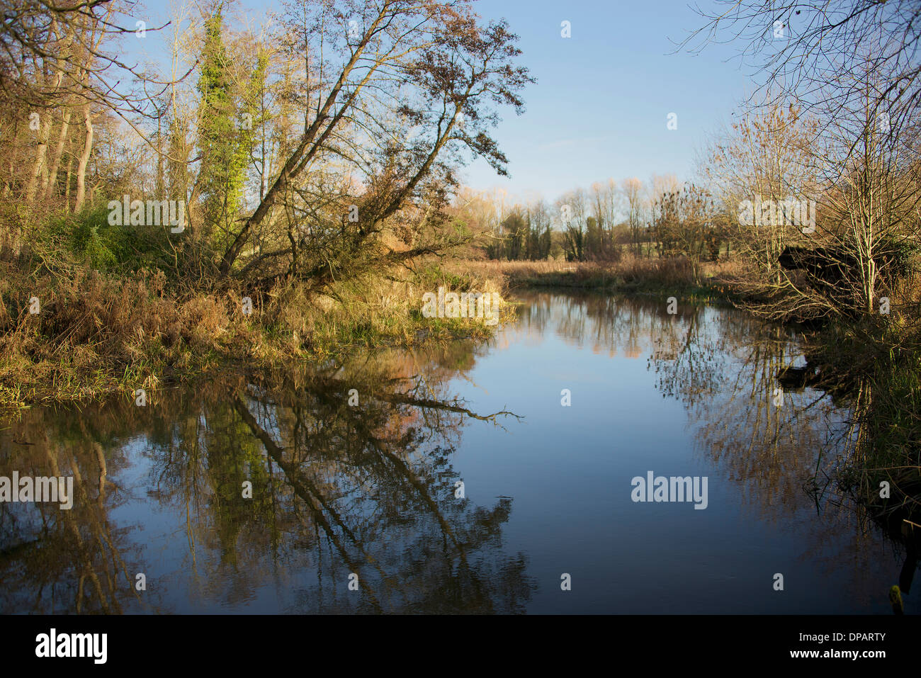 Fiume y vengono Cringleford Norwich Norfolk England Regno Unito Foto Stock