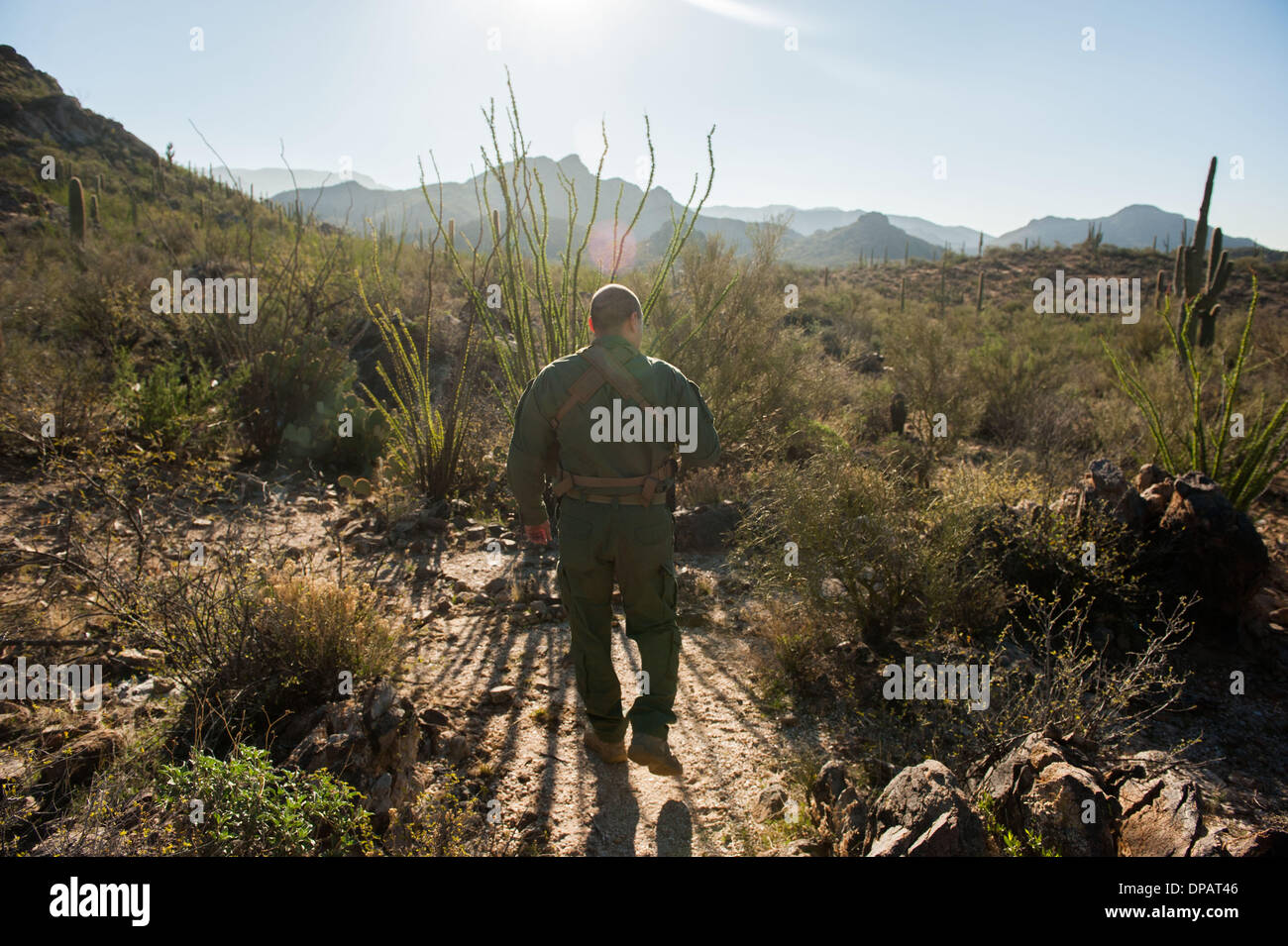 Vende, Arizona, Stati Uniti. Decimo gen, 2014. Un U.S. Pattuglia di Confine agent cerca le tracce nel deserto vicino vende, Ariz. Mentre rotte di migrazione in El Paso, Tex. settore stanno diventando sempre più affollate, Tucson settore rimane una famosa Plaza per migranti e contrabbandieri secondo la Pattuglia di Confine. Credito: Sarà Seberger/ZUMAPRESS.com/Alamy Live News Foto Stock