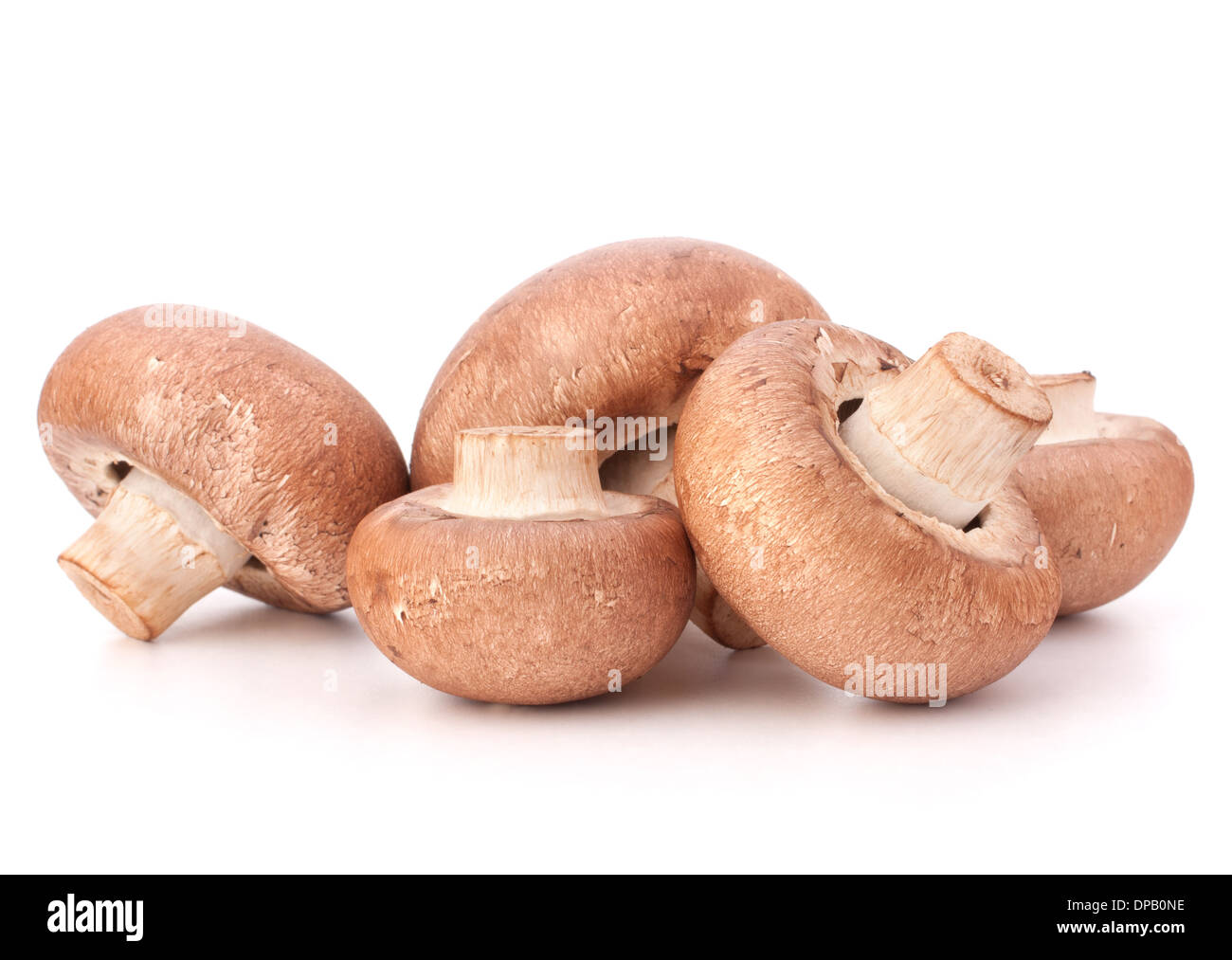Marrone di funghi champignon gruppo isolato su sfondo bianco intaglio Foto Stock