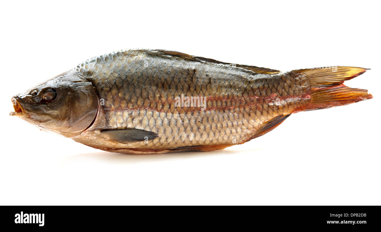 Pesce secco isolati su sfondo bianco Foto Stock
