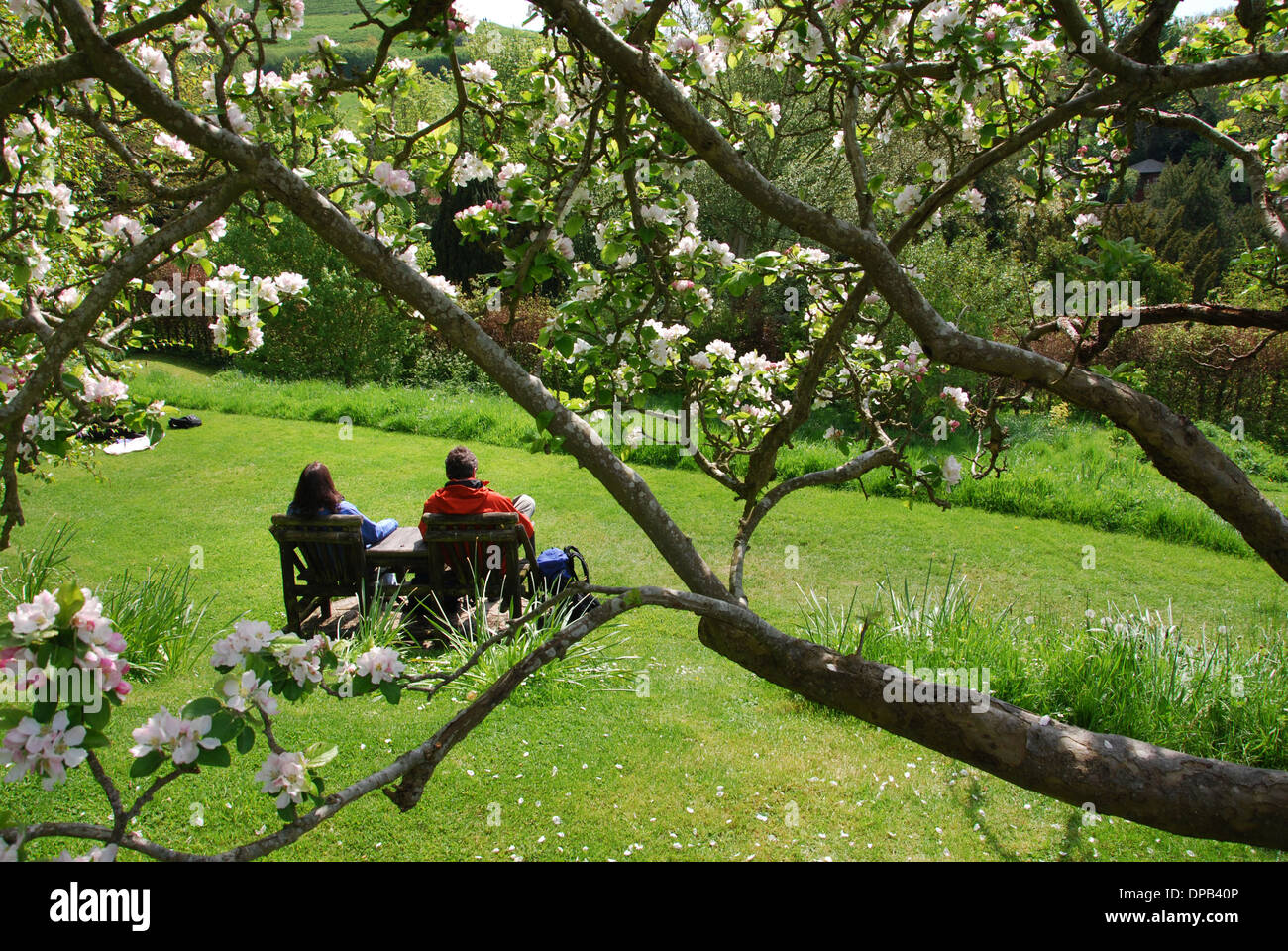 Meditando nel calice ben Glastonbury Somerset REGNO UNITO Foto Stock