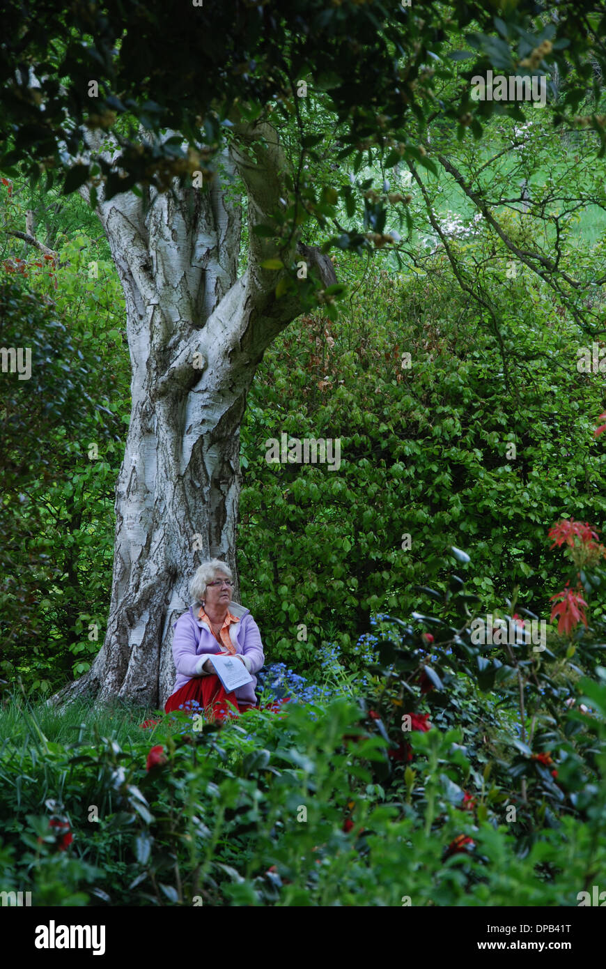 Meditando nel calice ben Glastonbury Somerset REGNO UNITO Foto Stock