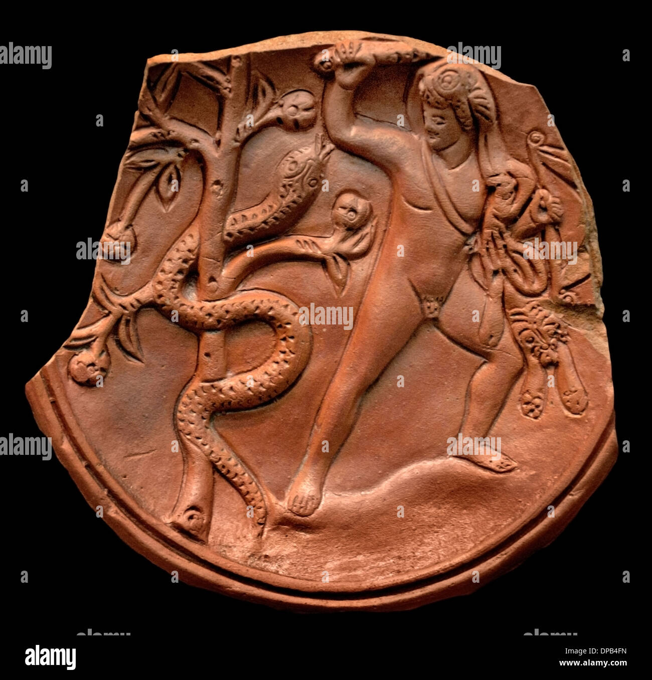 Per ottenere le mele delle Esperidi, Heracles lotta Snake ( dragon ) Ladon 200 D.C. Romana Roma Italia Foto Stock