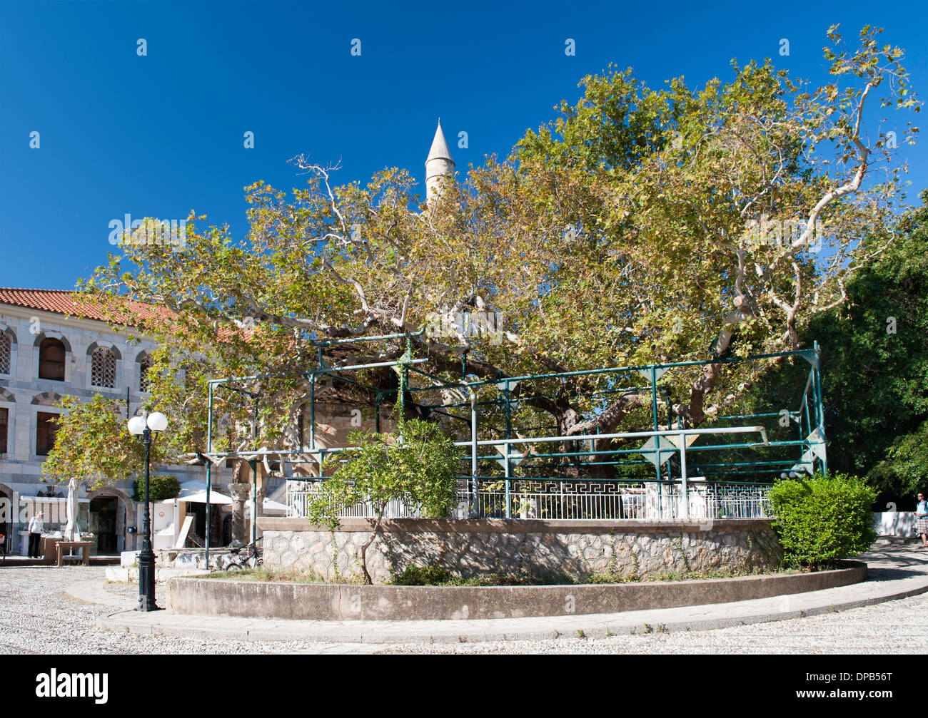 La struttura ad albero di Ippocrate sull'isola greca di Kos. Foto Stock
