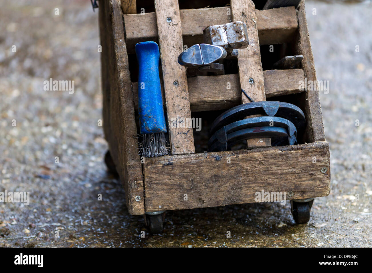 Strumenti di maniscalchi in una scatola di legno. Foto Stock