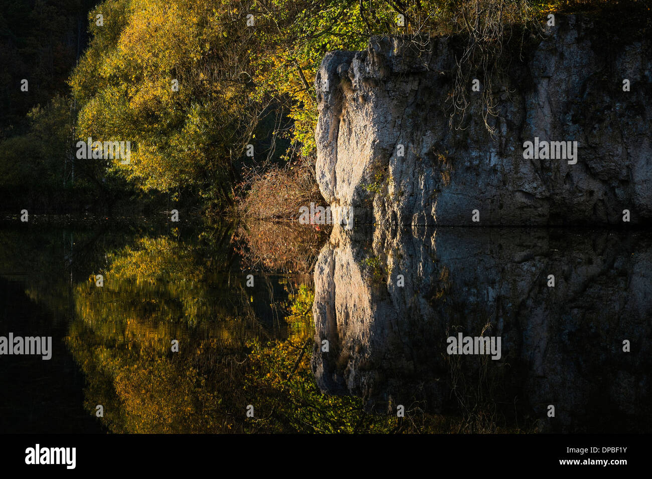 Germania, Baden Wuerttemberg, vista Danubio superiore Natura Park, acqua riflessione in autunno Foto Stock