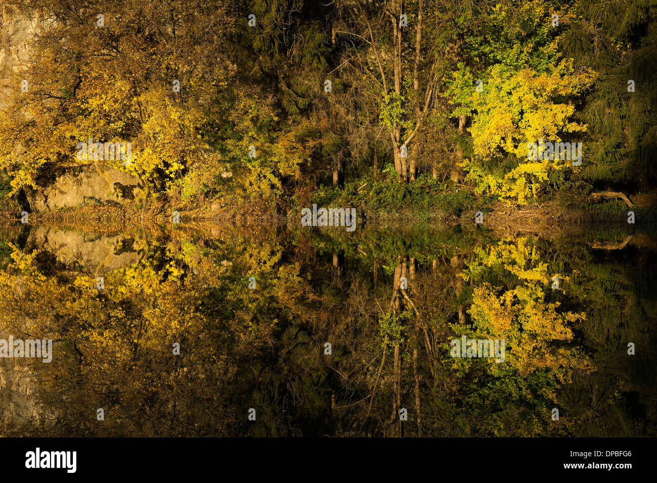 Germania, Baden Wuerttemberg, Danubio superiore Natura Park, acqua riflessione in autunno Foto Stock