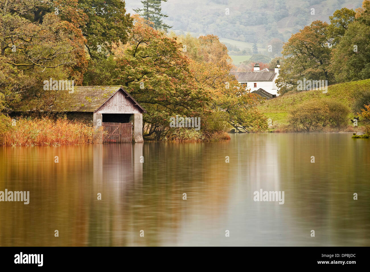 I colori autunnali riflesso in Rydal acqua nel Parco Nazionale del Distretto dei Laghi. Foto Stock