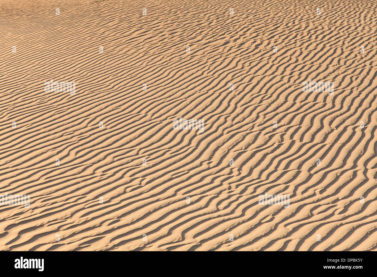 Le dune di sabbia di Mesquite piatto nella Valle della Morte nel deserto - California Foto Stock