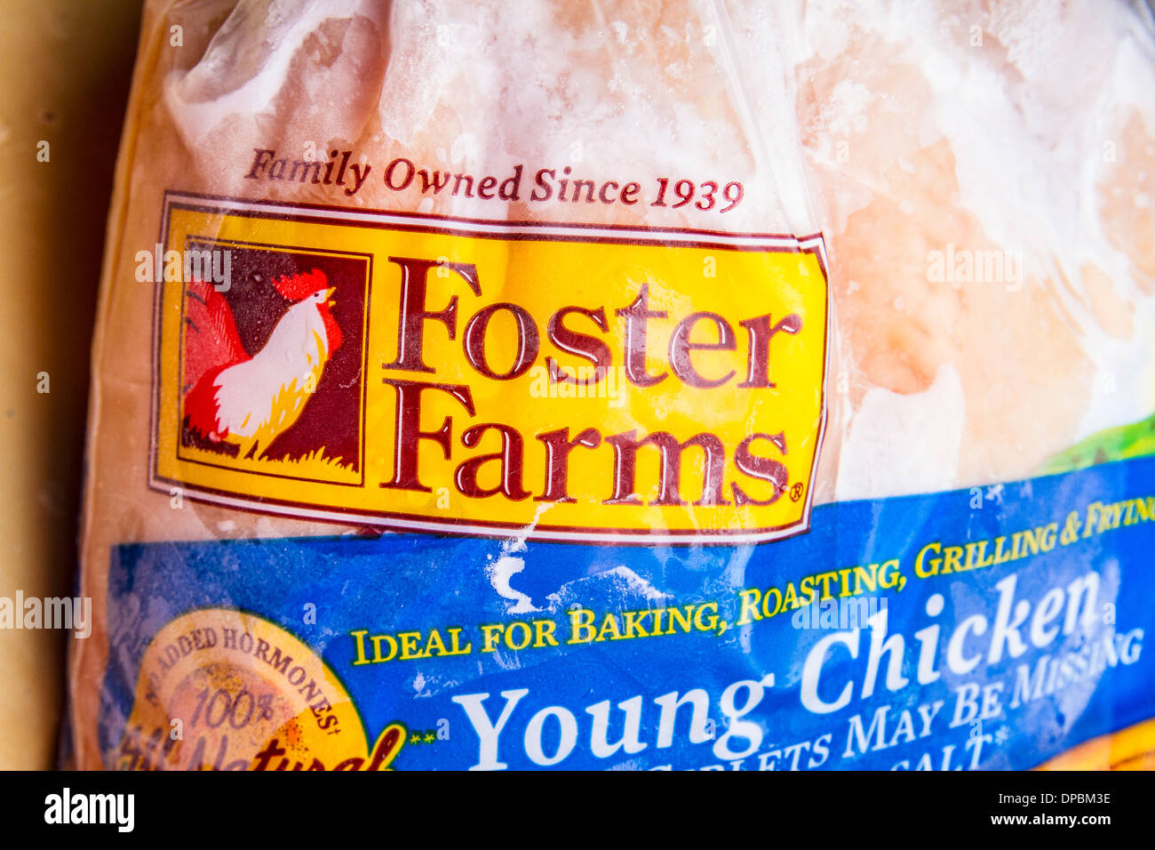 A favorire le aziende agricole il pollo congelato. Il favorire le aziende agricole il pollo nello stabilimento di trasformazione in Livingston California è stato arrestato. Foto Stock