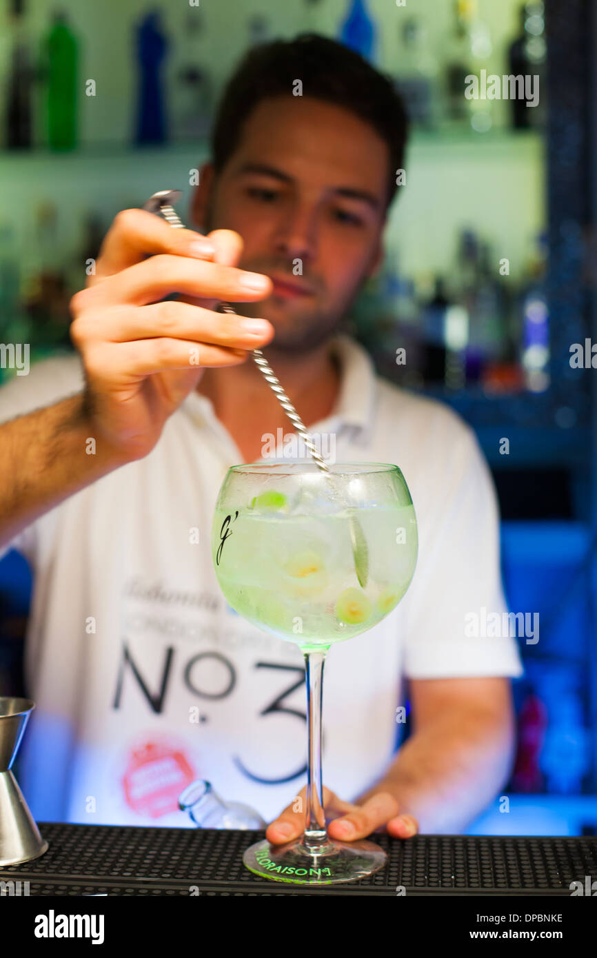 Preparare e provare vari cocktail tonici e gin. Foto Stock