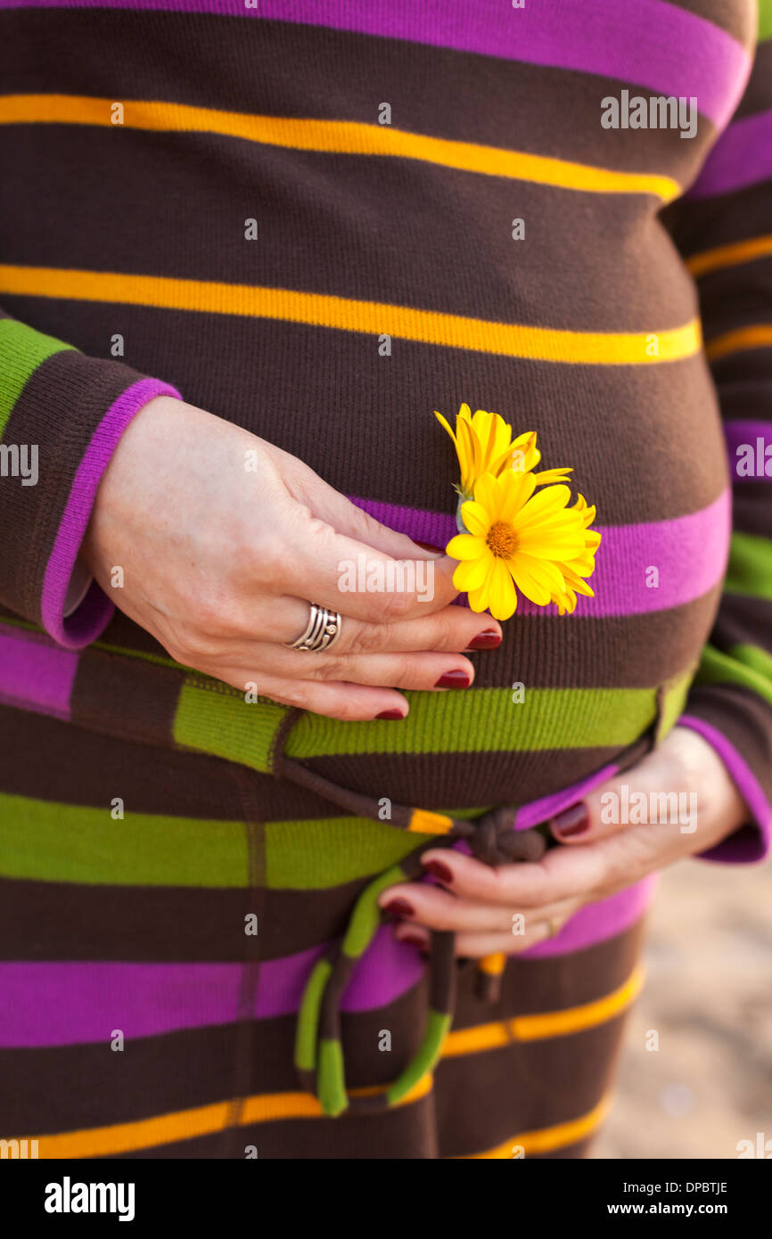 Donna incinta azienda fiore giallo in mano durante il tramonto. Foto Stock