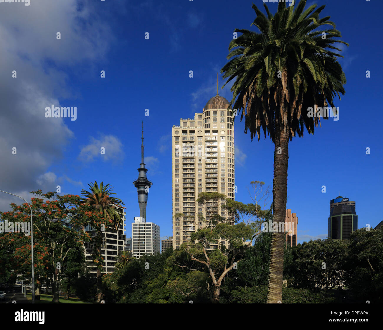 Vista la Sky Tower, Sky City da Albert Park di Auckland, Nuova Zelanda Foto Stock