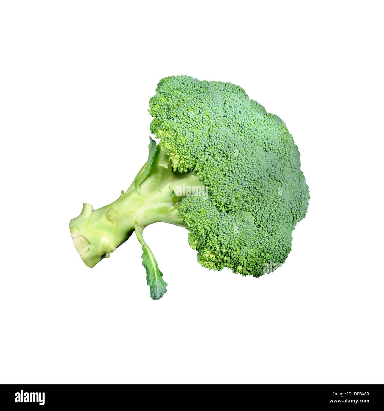 Broccoli su sfondo bianco. Foto Stock